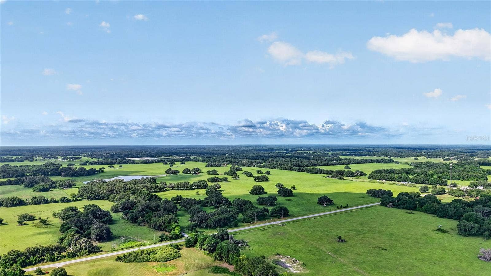 TBD E C 478, Webster, FL 33597 TBD E C 478, Webster, FL 33597