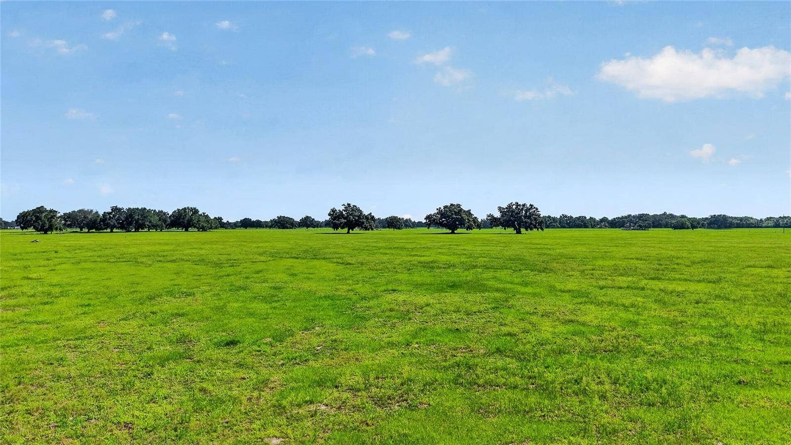 TBD E C 478, Webster, FL 33597 TBD E C 478, Webster, FL 33597