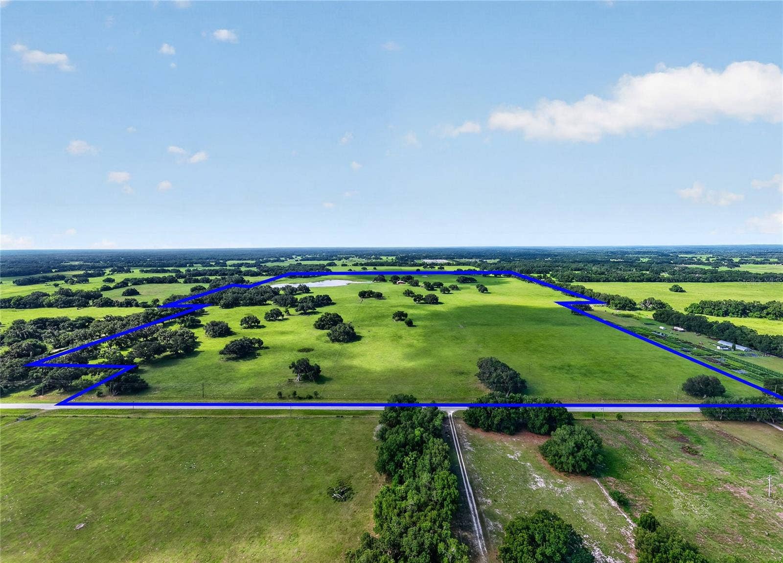 TBD E C 478, Webster, FL 33597 TBD E C 478, Webster, FL 33597