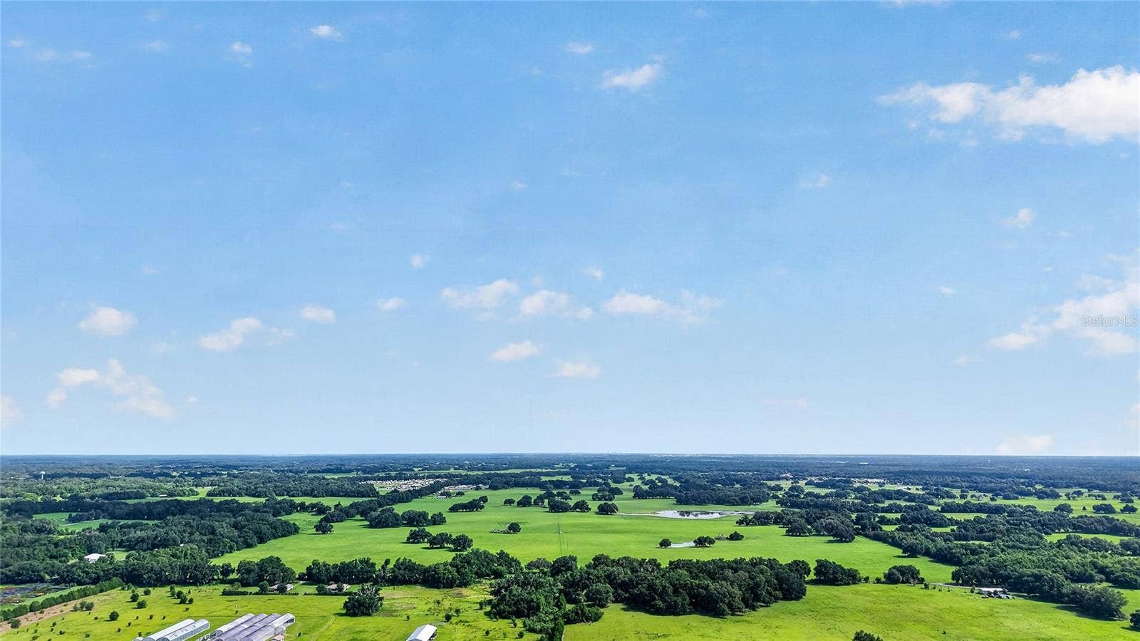 TBD E C 478, Webster, FL 33597 TBD E C 478, Webster, FL 33597