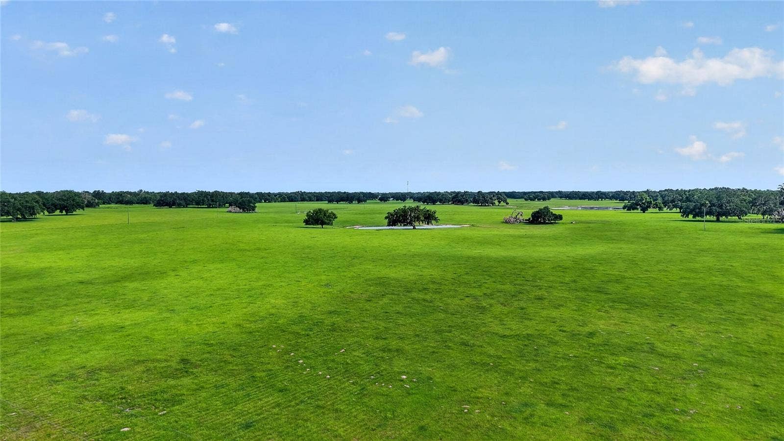 TBD E C 478, Webster, FL 33597 TBD E C 478, Webster, FL 33597