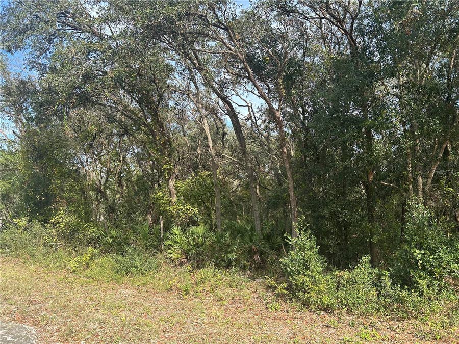Property photo for 9114 REALSTONE DRIVE, Webster, FL