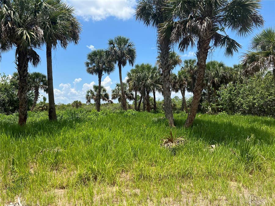 Property photo for 3026 SAGE AVENUE SW, Palm Bay, FL