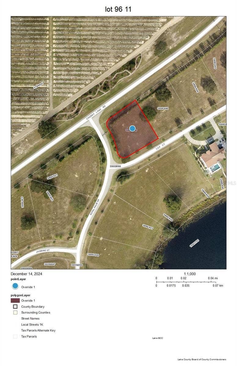 Property photo for 17200 ROYAL PALM DRIVE, Groveland, FL