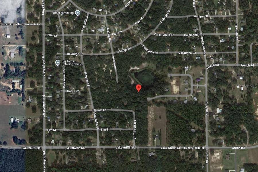 Property photo for TBD REDBUD ROAD, Lady Lake, FL