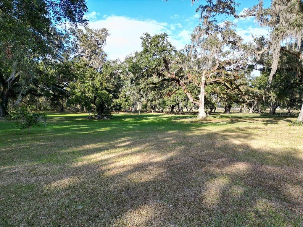 993 CR 722, Webster, FL 33597 993 CR 722, Webster, FL 33597