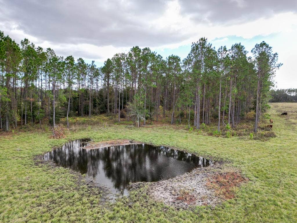 993 CR 722, Webster, FL 33597 993 CR 722, Webster, FL 33597