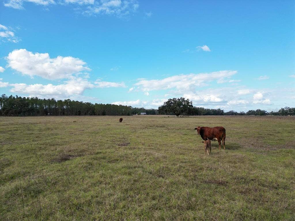 993 CR 722, Webster, FL 33597 993 CR 722, Webster, FL 33597