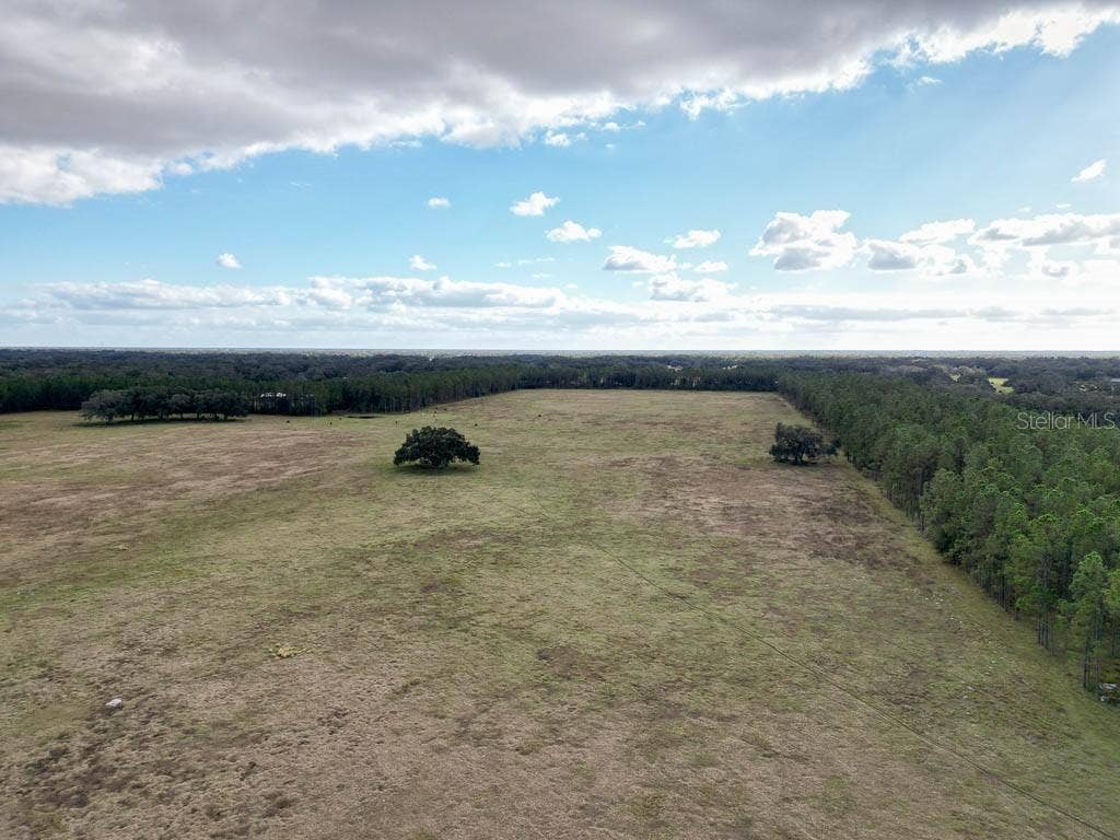 993 CR 722, Webster, FL 33597 993 CR 722, Webster, FL 33597