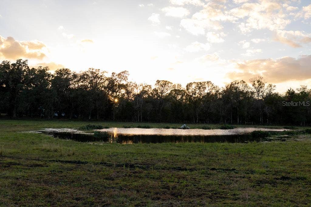 993 CR 722, Webster, FL 33597 993 CR 722, Webster, FL 33597