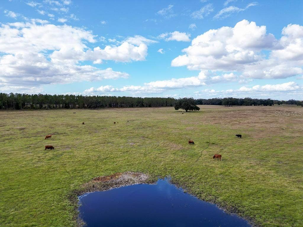 993 CR 722, Webster, FL 33597 993 CR 722, Webster, FL 33597