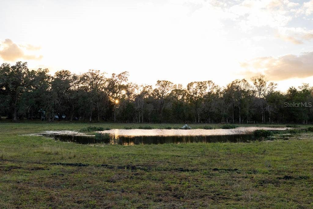 993 CR 722, Webster, FL 33597 993 CR 722, Webster, FL 33597