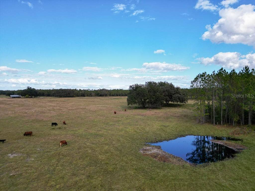 993 CR 722, Webster, FL 33597 993 CR 722, Webster, FL 33597