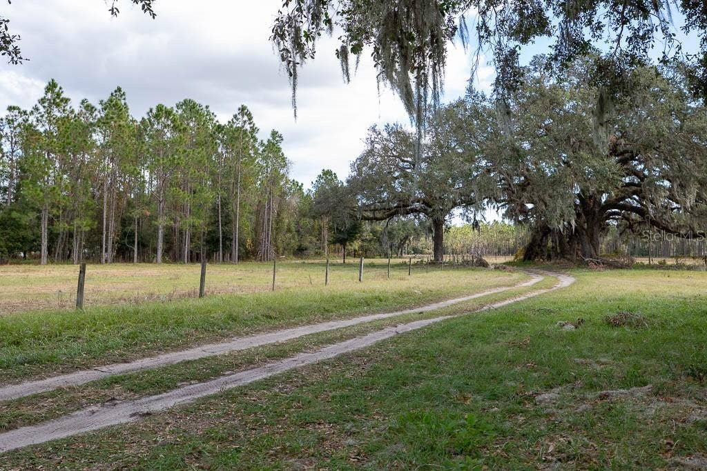 993 CR 722, Webster, FL 33597 993 CR 722, Webster, FL 33597