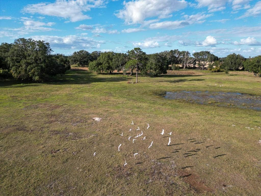 993 CR 722, Webster, FL 33597 993 CR 722, Webster, FL 33597