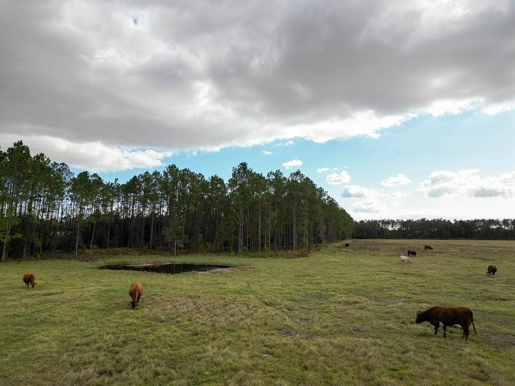 993 CR 722, Webster, FL 33597 993 CR 722, Webster, FL 33597