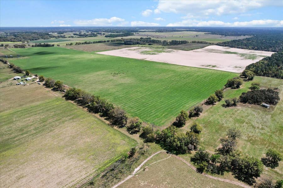 Property photo for (190 AC-see addt'l PID's) NW 225TH AVENUE, Dunnellon, FL