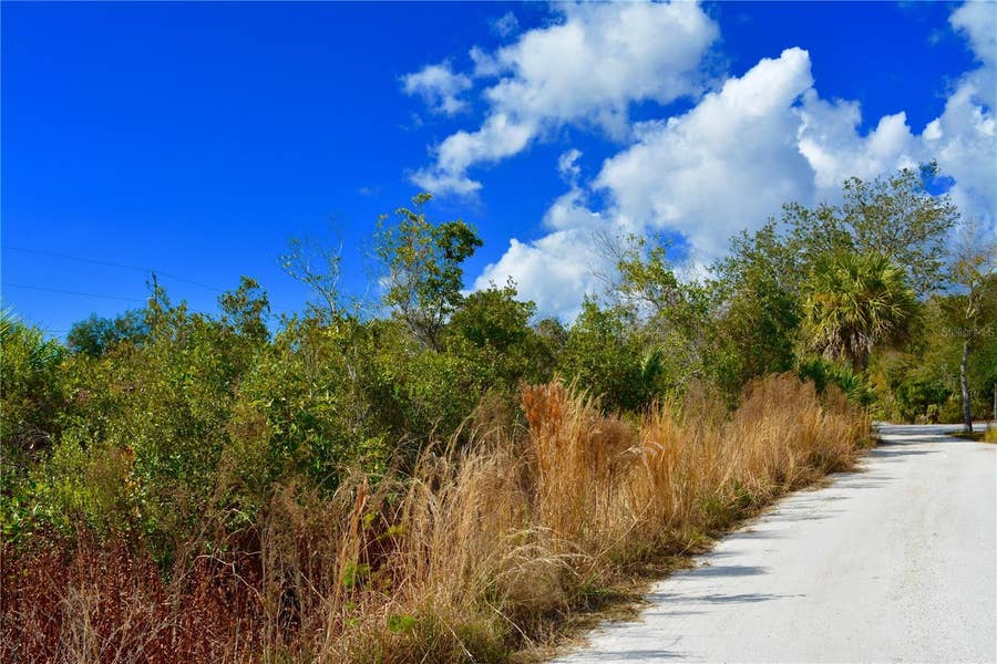 Property photo for 27195 LOWRY AVENUE, Punta Gorda, FL