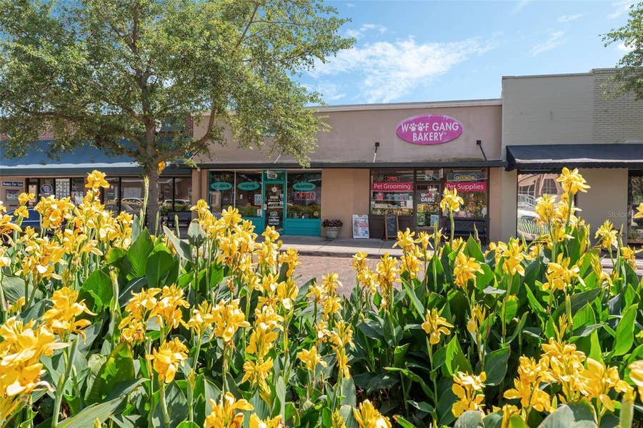 Property photo for 18 & 20 E PLANT STREET, Winter Garden, FL