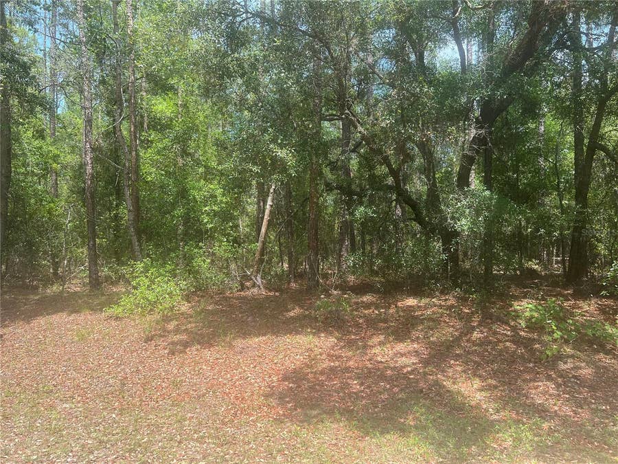 Property photo for 8729 N WALLINGFORD AVENUE, Dunnellon, FL