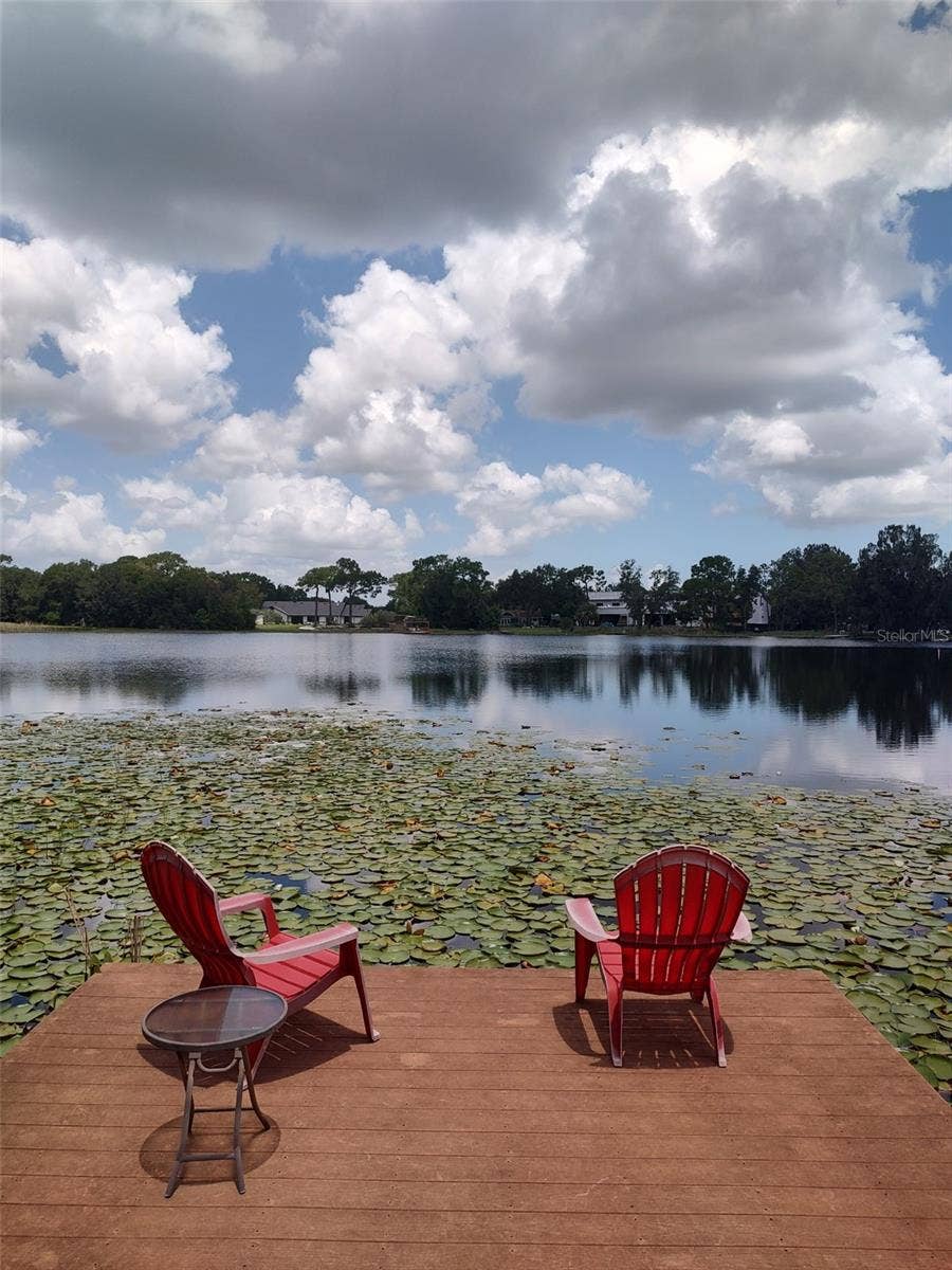 3629 LAKE BUYNAK ROAD, Windermere, FL 34786 Community Dock located through a private and hidden access