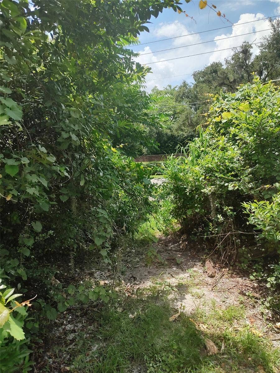 3629 LAKE BUYNAK ROAD, Windermere, FL 34786 Community Dock located through a private and hidden trail access