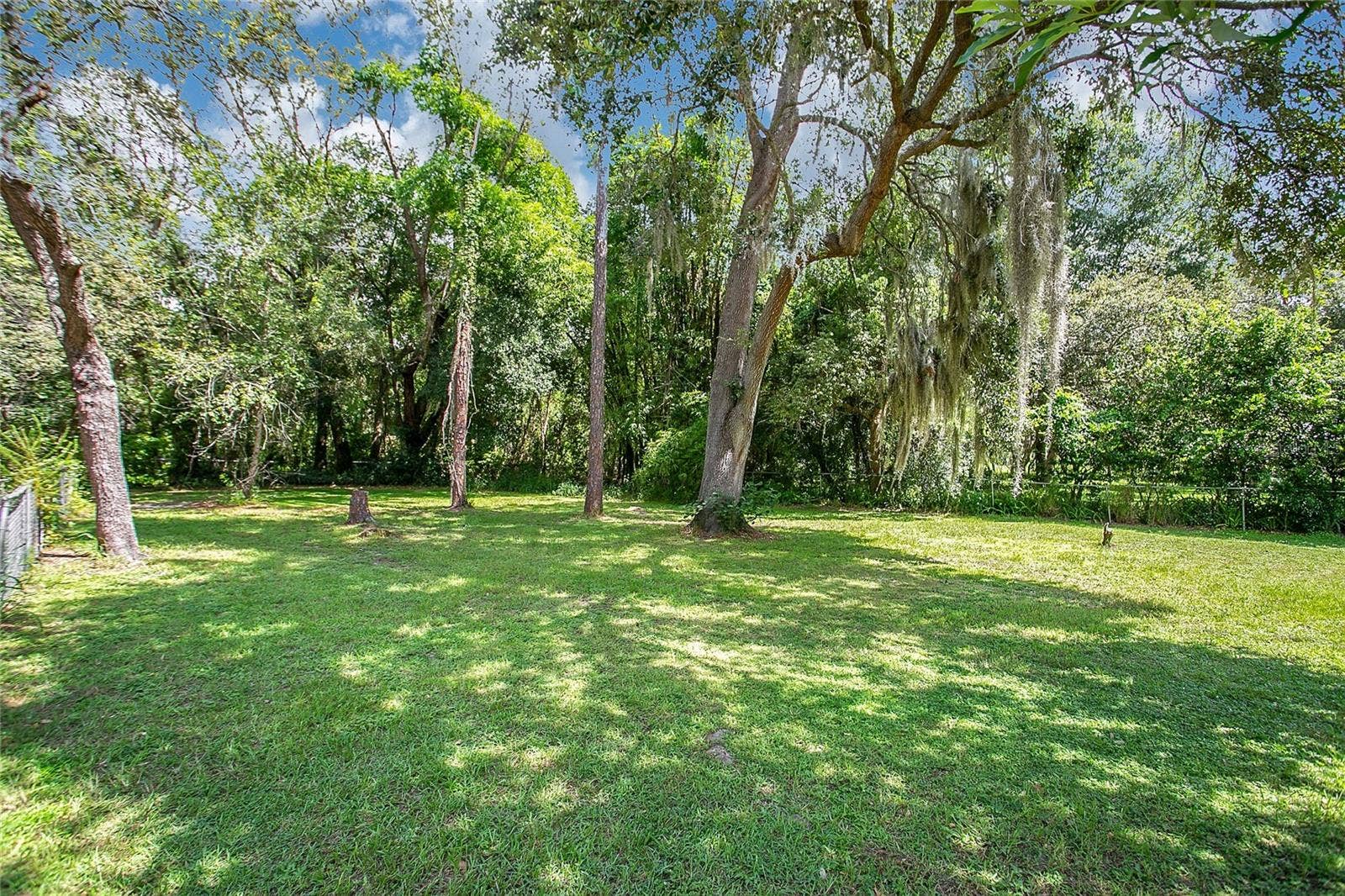 3629 LAKE BUYNAK ROAD, Windermere, FL 34786 YARD