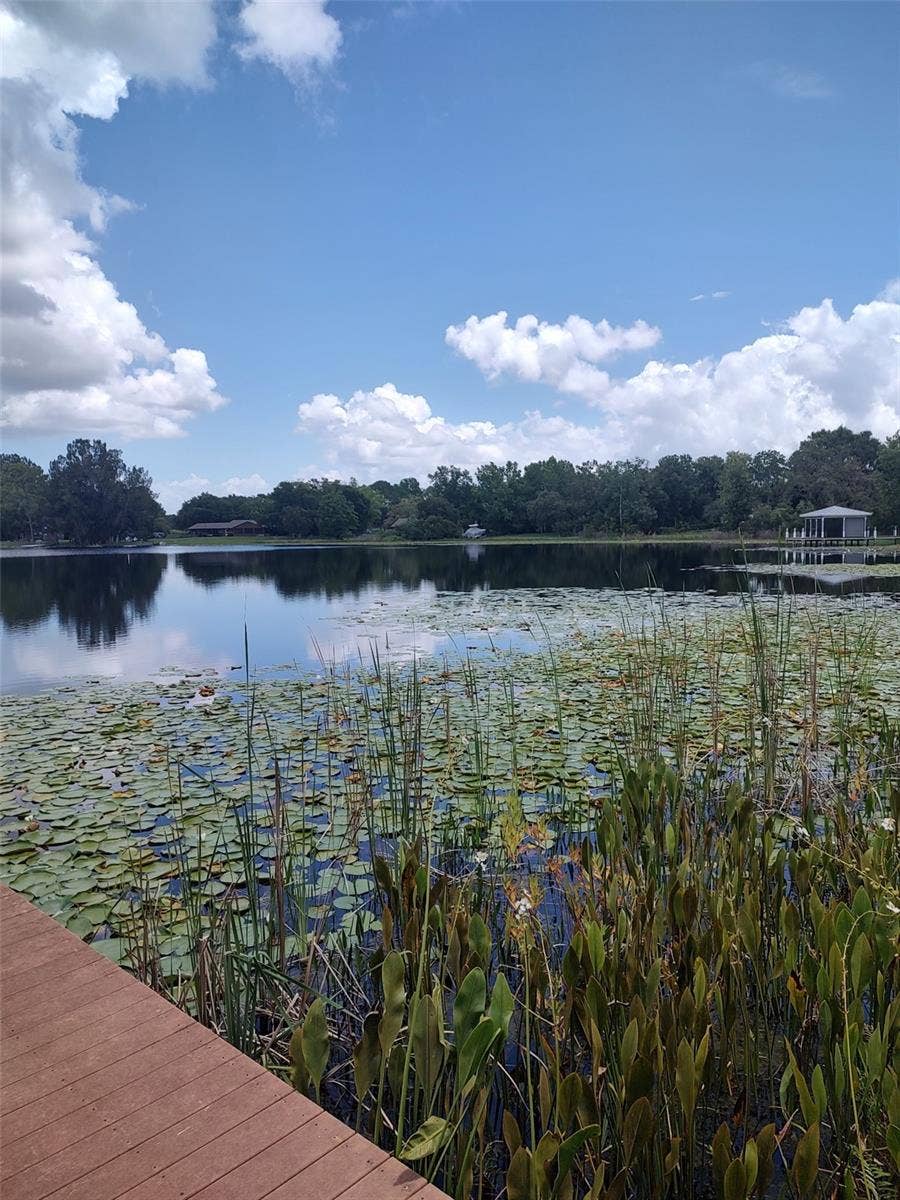 3629 LAKE BUYNAK ROAD, Windermere, FL 34786 Community Dock located through a private and hidden access