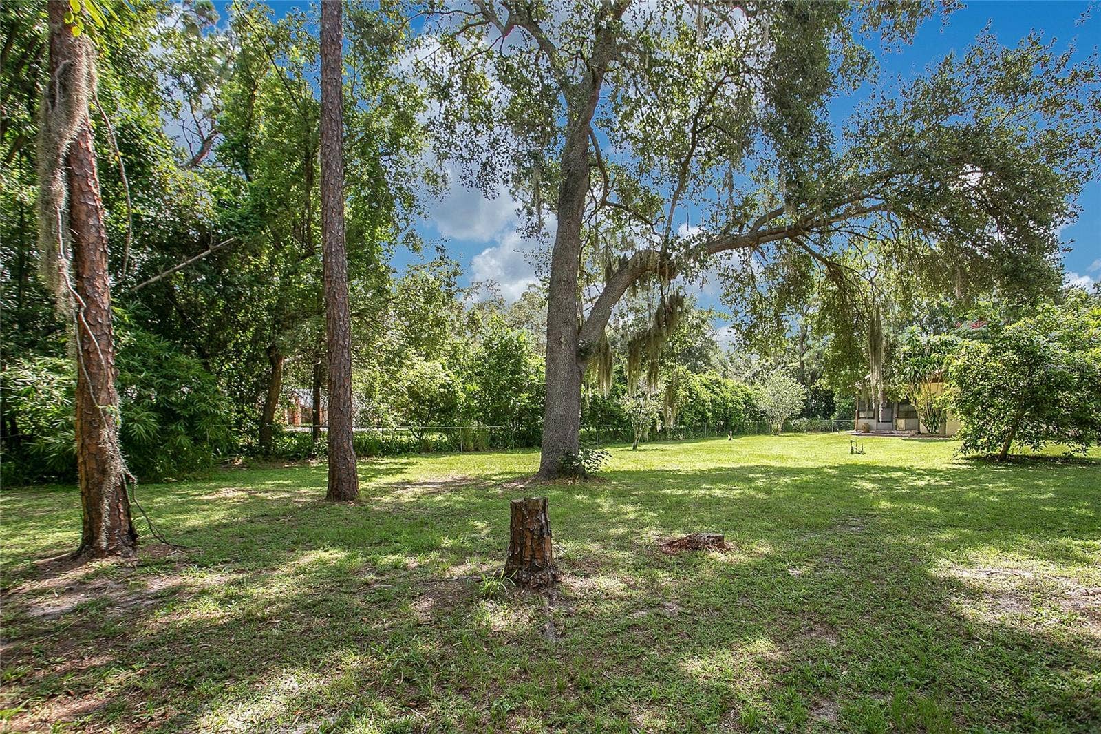 3629 LAKE BUYNAK ROAD, Windermere, FL 34786 YARD