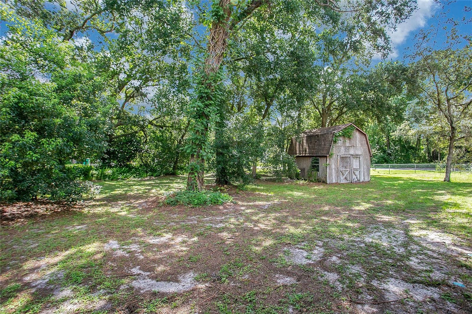3629 LAKE BUYNAK ROAD, Windermere, FL 34786 YARD