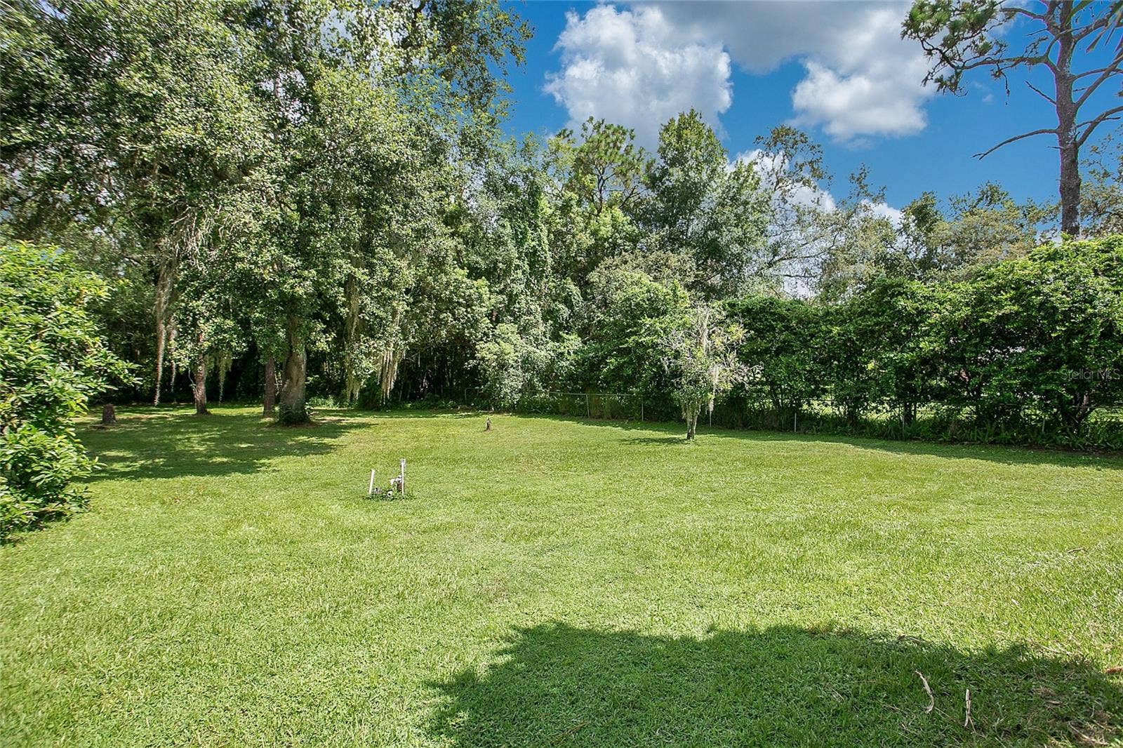 3629 LAKE BUYNAK ROAD, Windermere, FL 34786 YARD