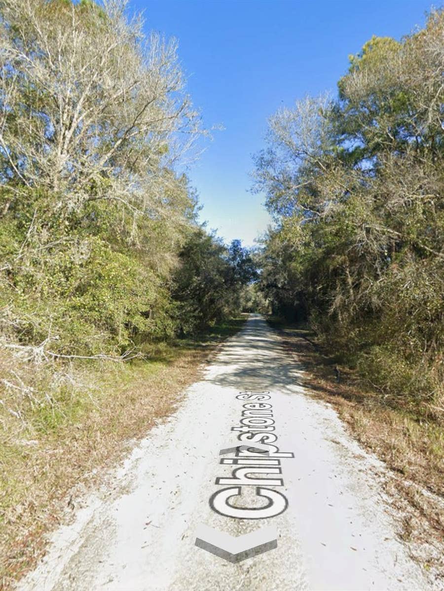 Property photo for CHIPSTONE STREET, Webster, FL