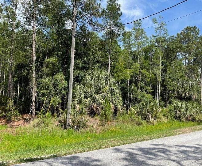 Property photo for THUNDERHEAD STREET, Wesley Chapel, FL