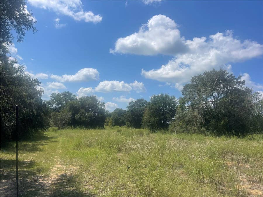 Property photo for TBD KEENE ROAD, Umatilla, FL
