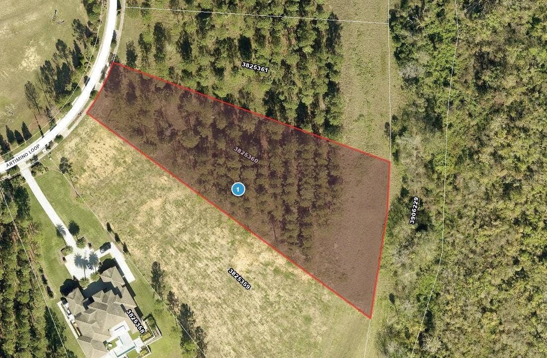16842 ARTIMINO LOOP, Montverde, FL 34756 16842 ARTIMINO LOOP, Montverde, FL 34756