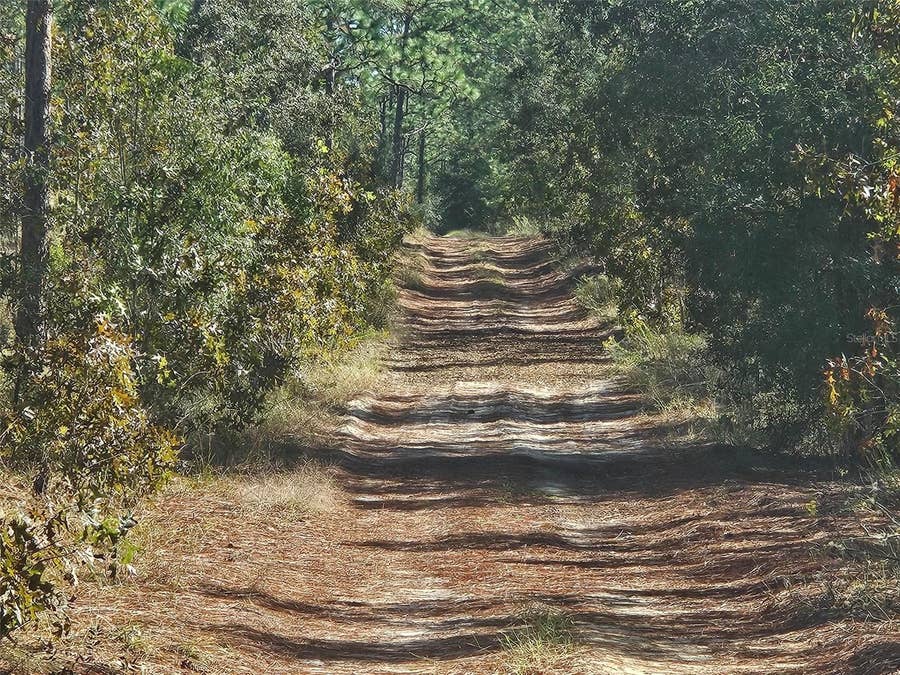 Property photo for XXXX SW 92ND PLACE SW, Dunnellon, FL