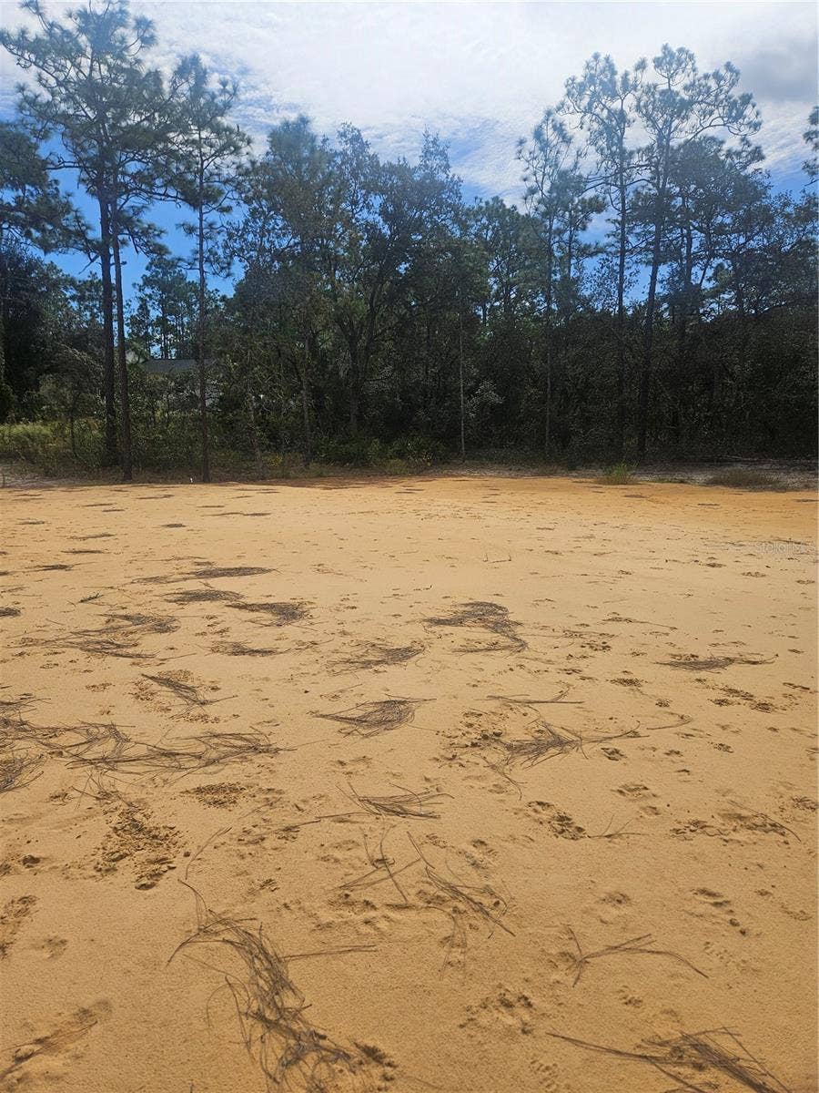 Property photo for 33216 TEAKWOOD DRIVE, Webster, FL