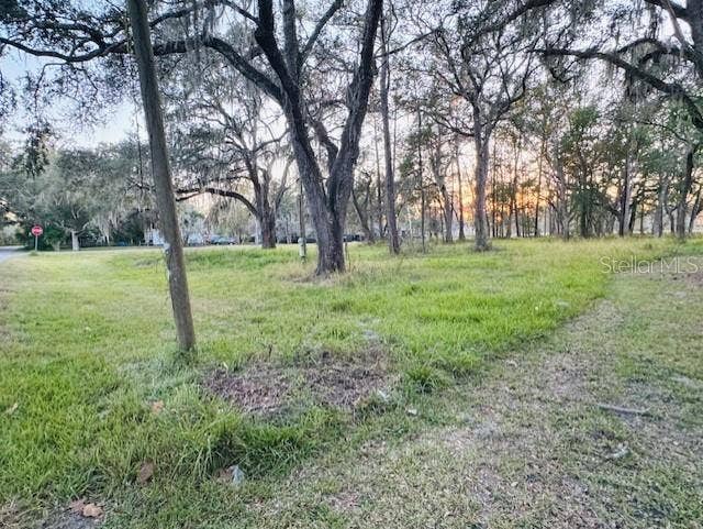 Property photo for 17481 CELIA AVENUE, Brooksville, FL
