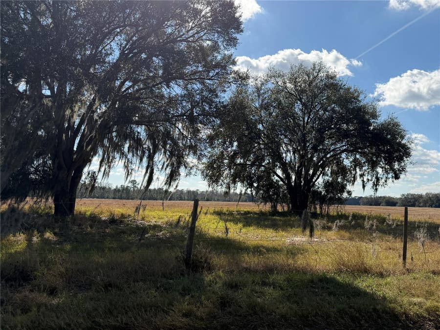 Property photo for LAKE ERIE, Groveland, FL