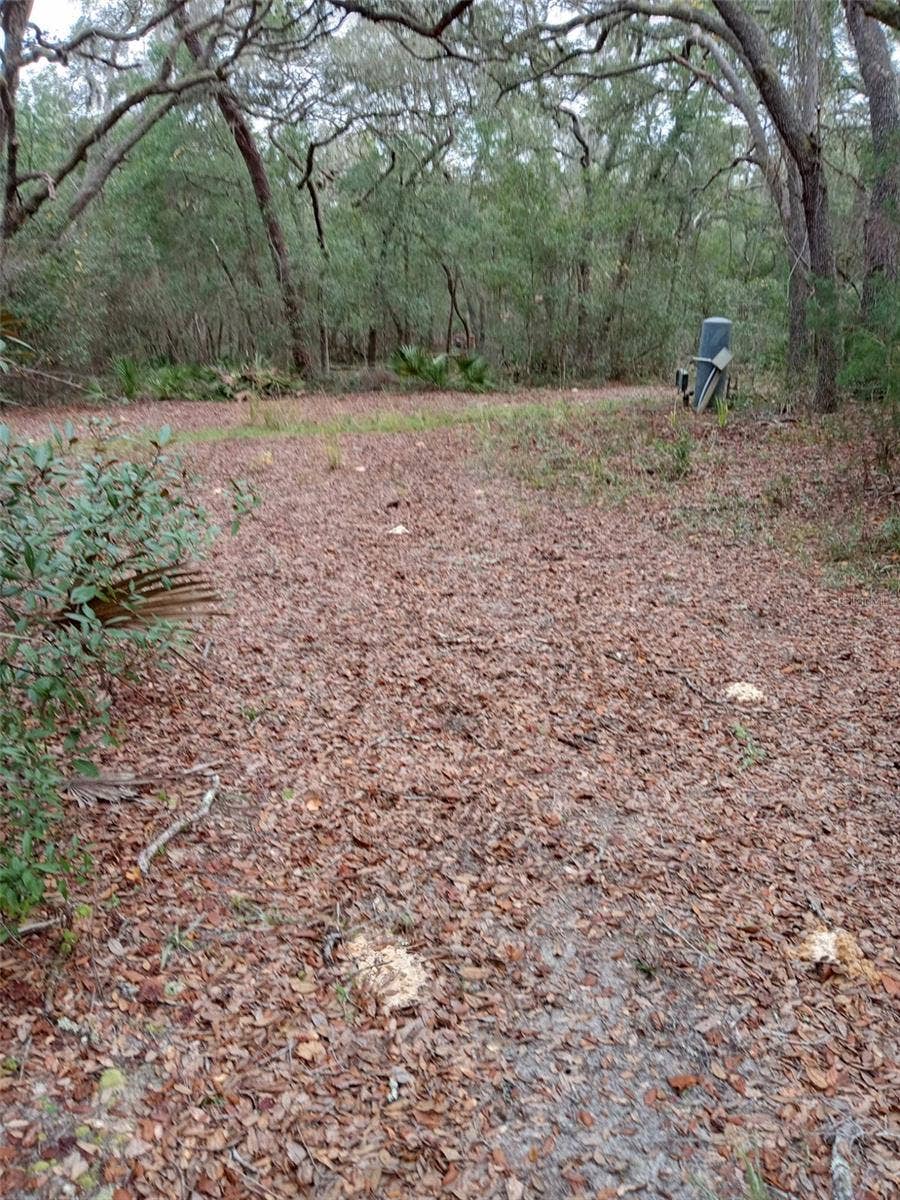Property photo for 28095 SE HIGHWAY 42, Umatilla, FL