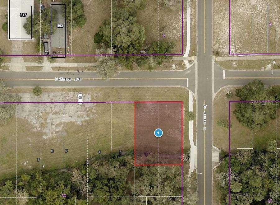 TBD N EXETER STREET, Eustis, FL 32726