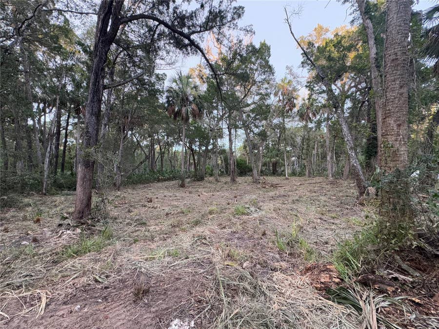 Property photo for 11905 W ELDRED LANE, Homosassa, FL