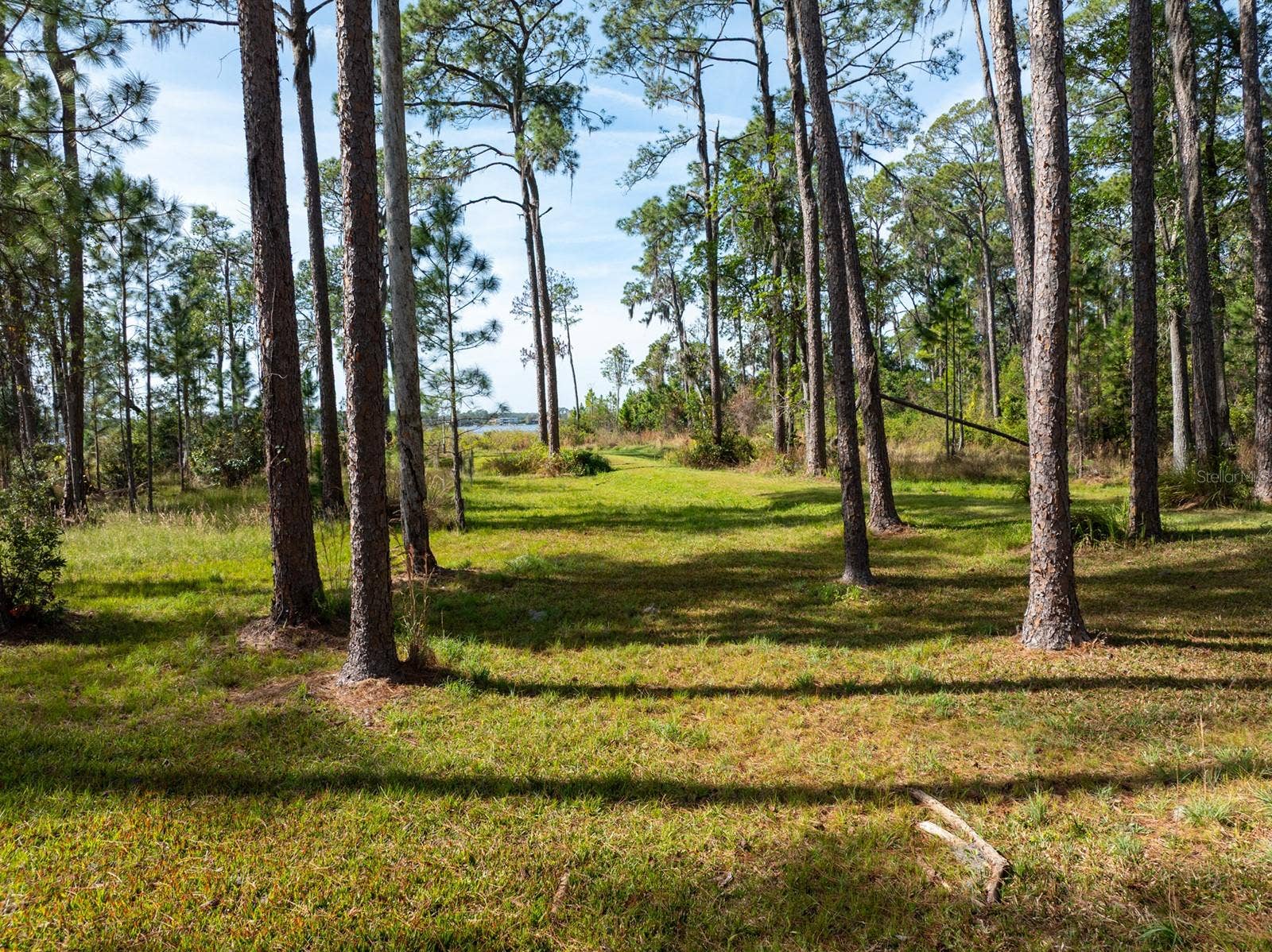 8822 WINTER GARDEN VINELAND ROAD, Orlando, FL 32836 8822 WINTER GARDEN VINELAND ROAD, Orlando, FL 32836
