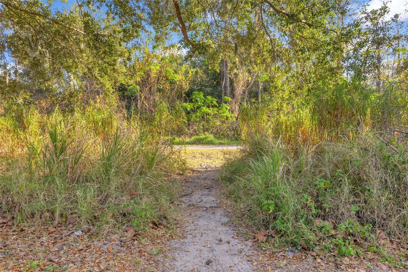 906 ALLENDALE LANE, Winter Garden, FL 34787 short cut to Orange trail just 5 min from the property