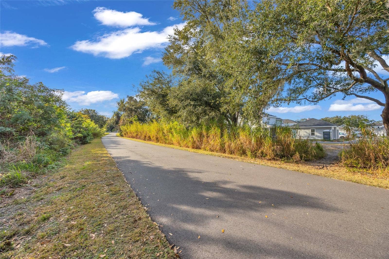 906 ALLENDALE LANE, Winter Garden, FL 34787 walking path - Orange trail