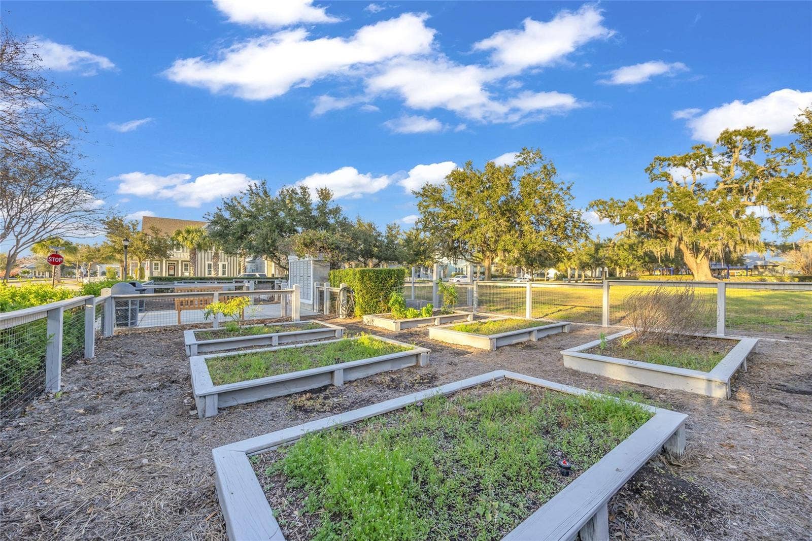 906 ALLENDALE LANE, Winter Garden, FL 34787 906 ALLENDALE LANE, Winter Garden, FL 34787