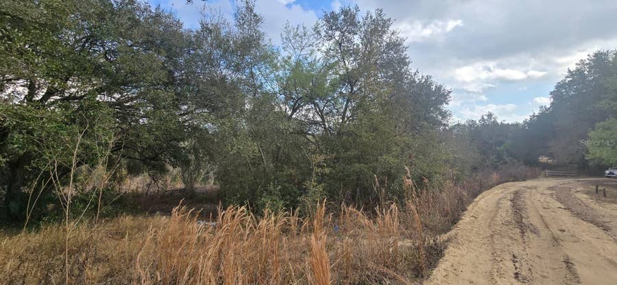 Property photo for SE 252ND AVE, Umatilla, FL