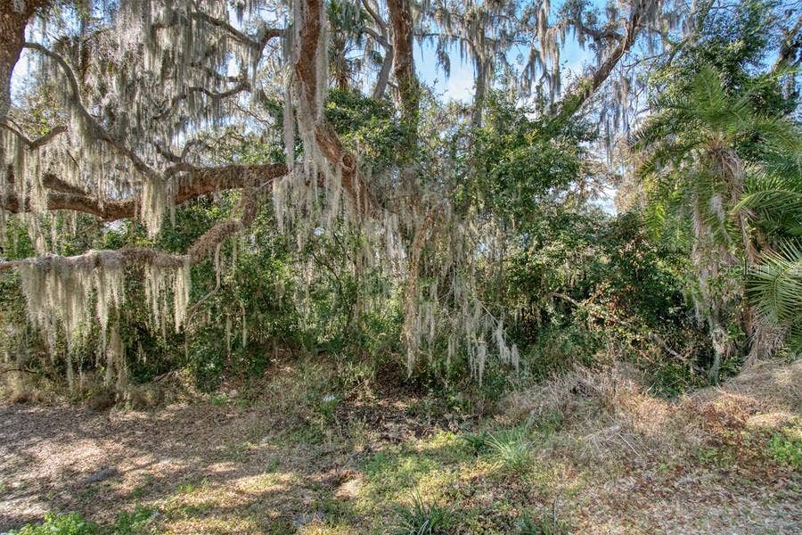 Property photo for 3RD ST, Montverde, FL