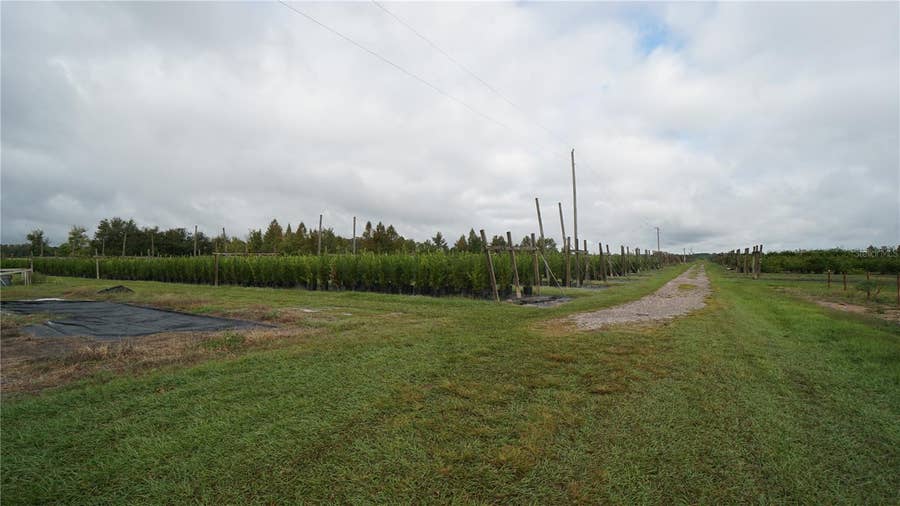 Property photo for DOUGLAS ROAD, Groveland, FL