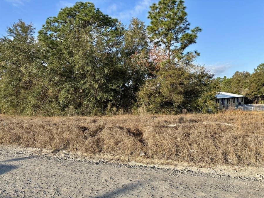 Property photo for TBD SE 102ND TERRACE, Belleview, FL